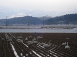 2012年2月お誕生日ツアー